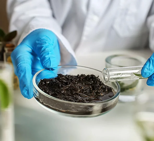 Scientist in gloves analyzing a soil sample in a laboratory setting.